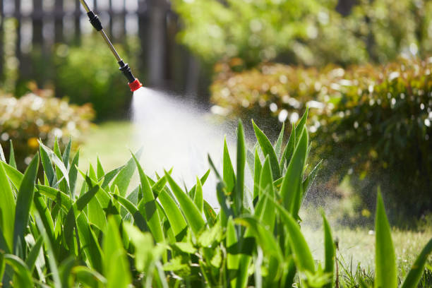 24/7 Emergency Mosquito Control experts in Mariposa, CA