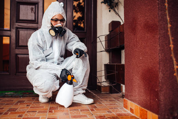Reliable Mosquito Control contractor in Mariposa, CA by Show Me Pest Control
